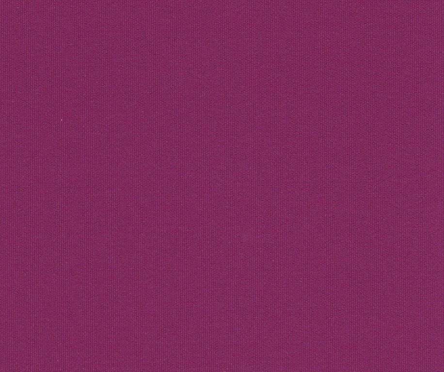 B0836/TR (Lila)
